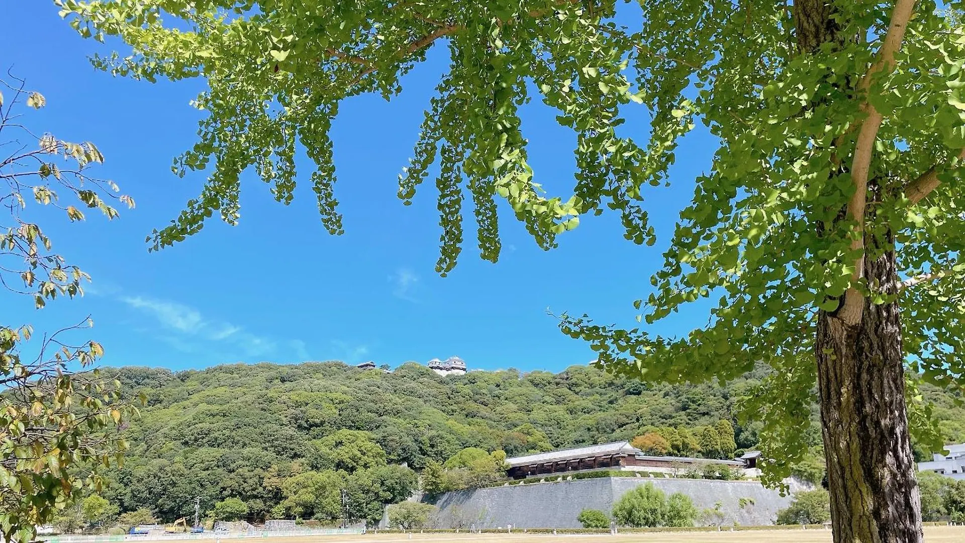 Ref Matsuyama City Station By Vessel Hotels
